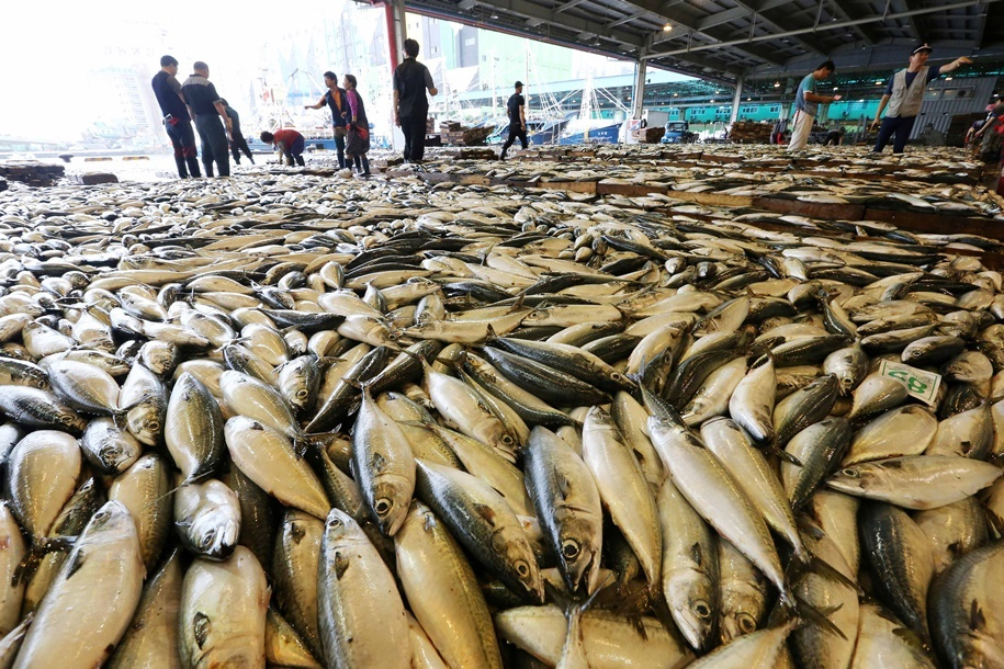 부산공동어시장